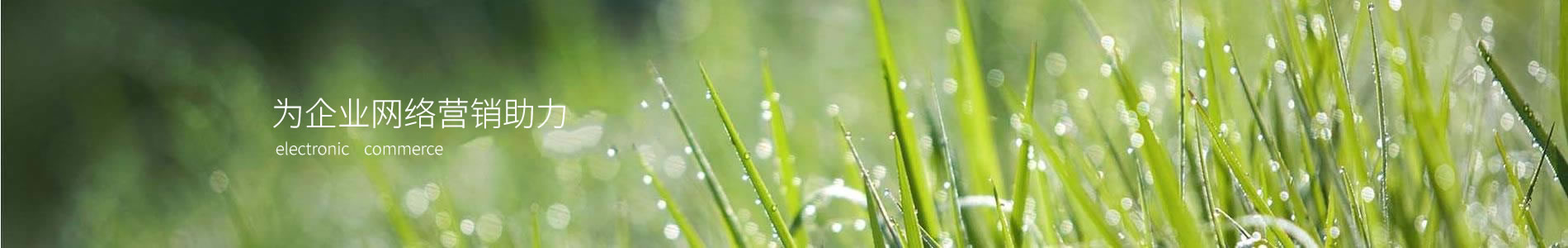 ӱ˿¹ܵƼչ޹˾